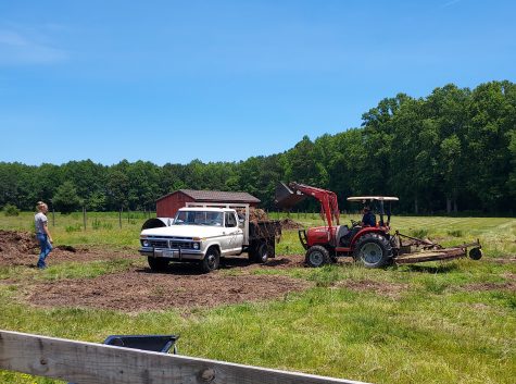 Cows, compost,  and cow paddies...the daily farm adventures