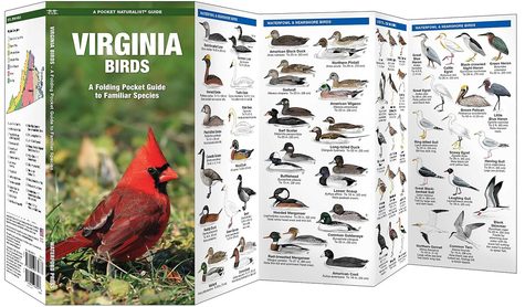 Hampton Roads From the Water...the Daily Farm Adventures 11 va bird guide